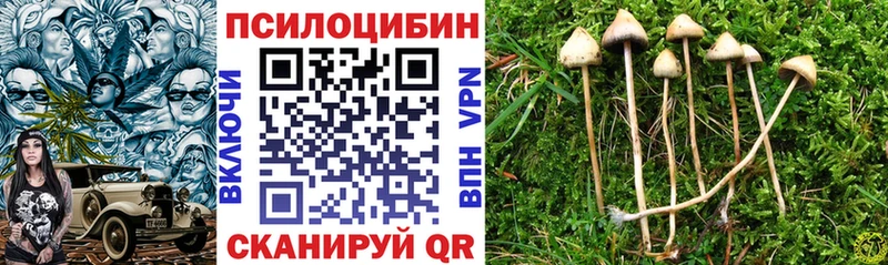 Псилоцибиновые грибы мицелий  Ревда 
